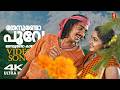 Thenundo Poove 4K Video Song Yakshiyum Njanum Manjari Vijay Yesudas Meghana Raj