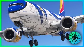 Ashton Sweet iFly737Max8 Lights Mod  | V2 video
