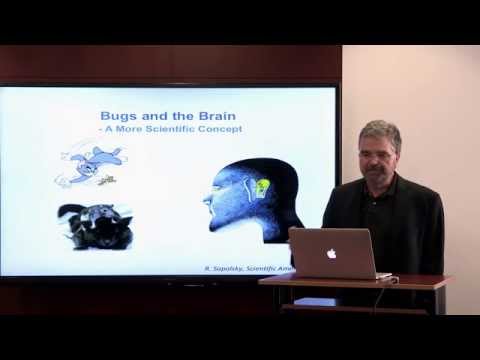 Micbrobiota and the Brain