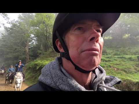 How to Sign Horse, Ride a Horse in NZSL