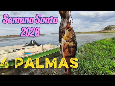Semana Santa en 4 Palmas El Socorro Edo Guárico 