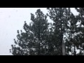 dancing snowflakes