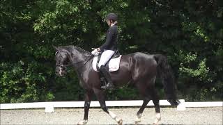 Wideo od du Oder Keiner Rainer