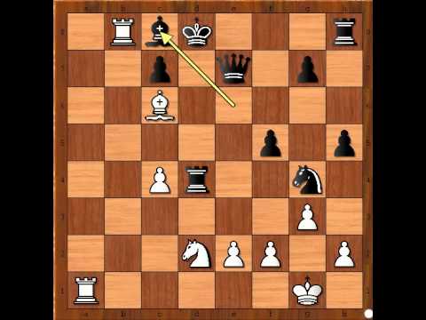 Šahovska taktika MAMAC za Kralja - WAGNER vs SCHOENMANN - Albinov protivgambit  # 459