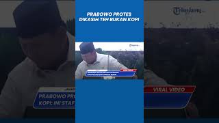 Download lagu Prabowo Protes Dikasih Teh Bukan Kopi: Ini Staf Saya Enggak Bener! mp3
