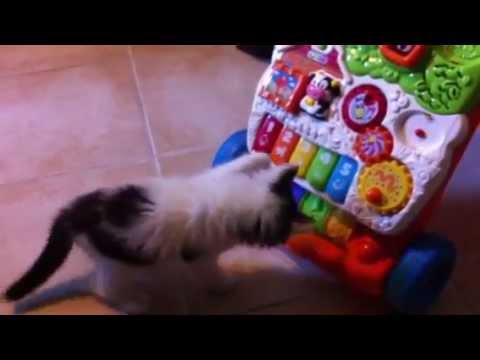 comment nettoyer jouets bébé