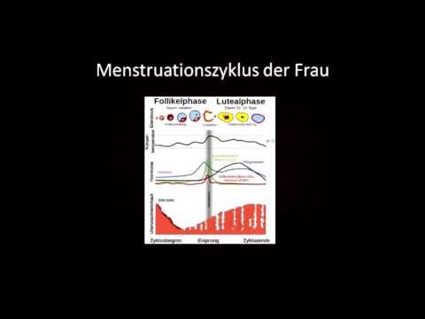 Prostatitis bei Frauen Fotos BPH postoperative Komplikationen