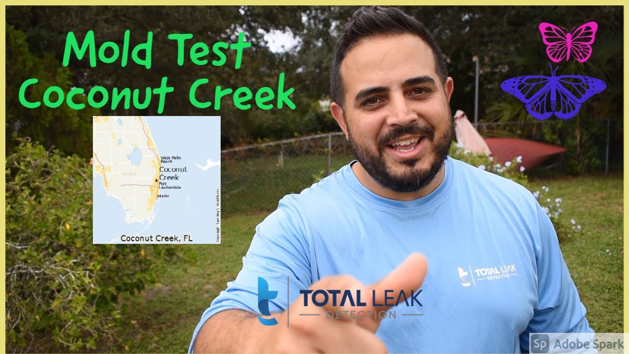 Mold Testing in Coconut Creek