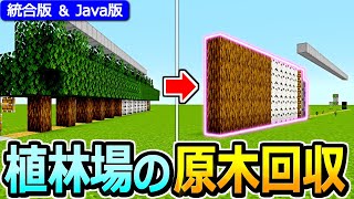 【マイクラ】まとめて一気に回収！植林場用 原木回収装置の作り方【Java版/統合版 1.21】