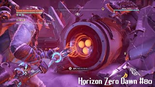 「唯一無二の狩人の物語」Horizon Zero Dawn 実況 #80