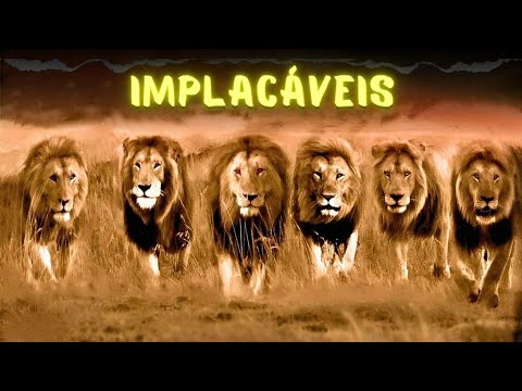 NOTCH - The Strongest Lions in History (Documentary)