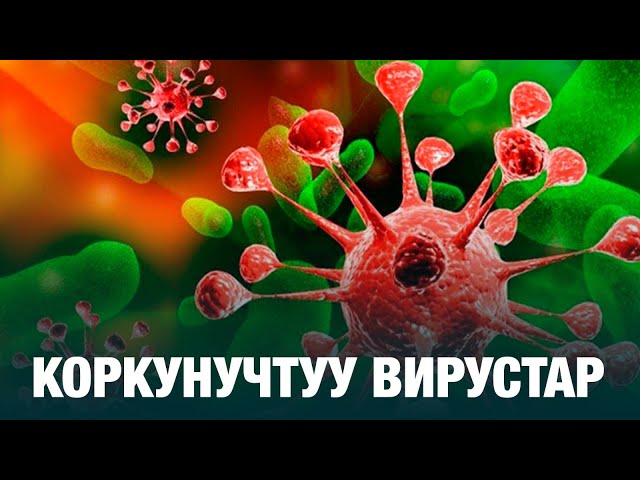 Коркунучтуу вирустар