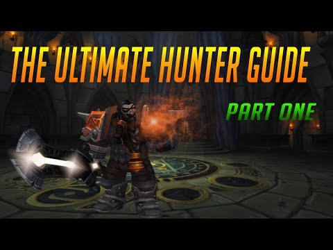 The ultimate hunter guide part 1 | Talents, rotation and pets.