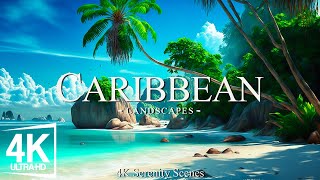 Caribbean 4K - Turquoise Waters and Tropical Paradise With Relaxing Piano - 4K Video UHD