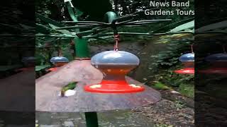 Gardens Tours Travel 8 : Overlooking Birds