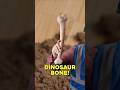 How to Rule the Sandbox!