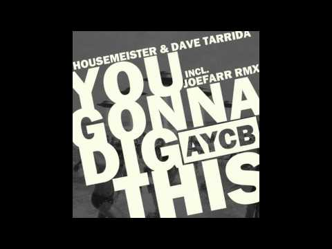 Housemeister & Dave Tarrida - You Gonna Dig This (joeFarr Remix) [AYCB]