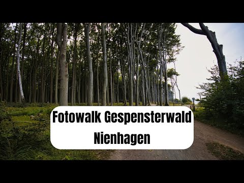 Fotowalk Gespensterwald Nienhagen