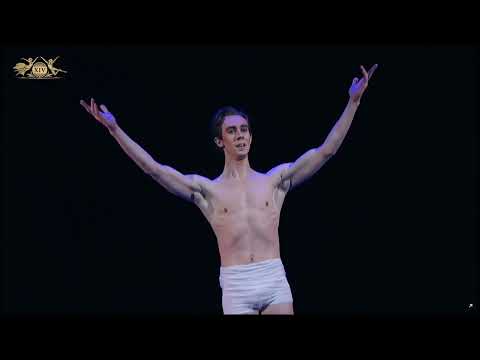 Dmitry Vyskubenko (Russia) - Daydream of Icarus | XIV Moscow Ballet Competition, Senior Round 2