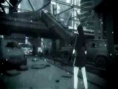 eisblume - iceflowers.flv