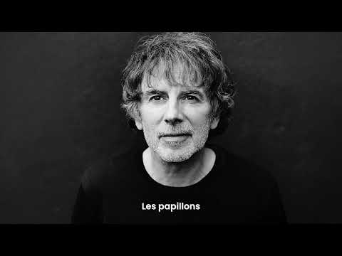 Thomas Fersen - Les papillons (lyrics video)
