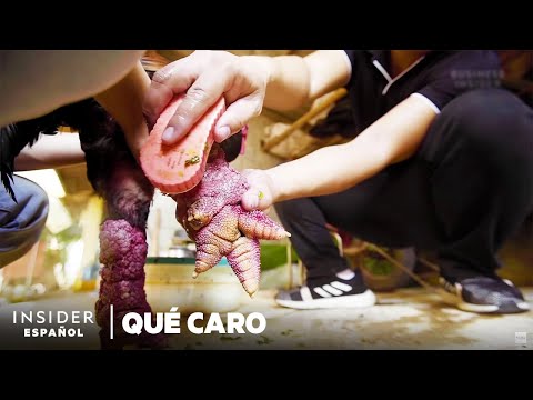 , title : 'Por qué los pollos Đông Tảo son tan caros | Qué caro | Insider Español'