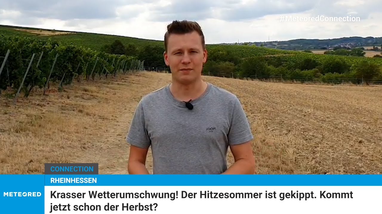 youtube video id=4llZiPZxV2I