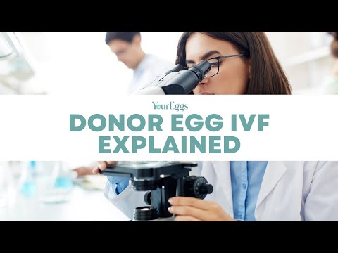 Donor Egg IVF Explained | YourEggs Egg Donation Agency in San Diego California