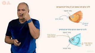 דו חיים - דגי הריאות