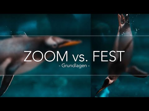 Zoomobjektive vs. Festbrennweiten in der Fotografie