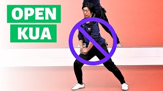 How to Increase Kua (Groin) Flexibility: Effective Tai Chi Stretch for All Levels