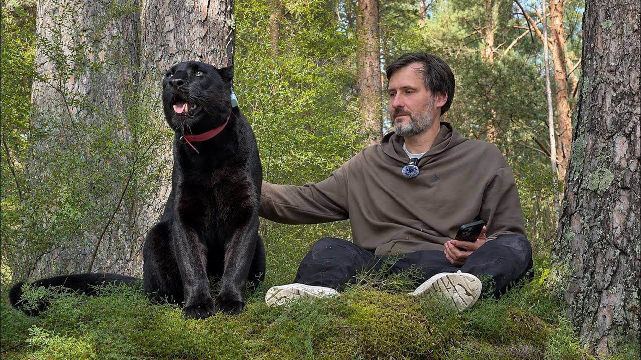 We said goodbye to summer with a walk by the river with Luna the panther 😸(ENG SUB)