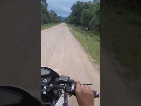 en isla de cañas salta con el negro de lanus al corte delincuent3 maleant3 pistolero l4dron crimin4l