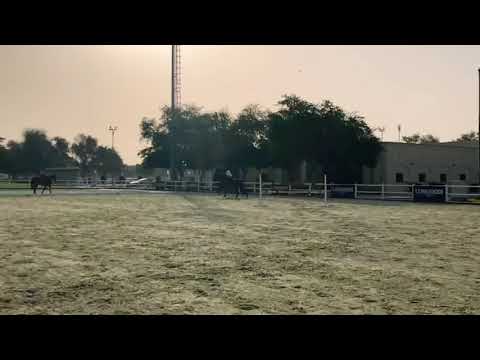 HBR Don’t Touch It - (Untouchable)