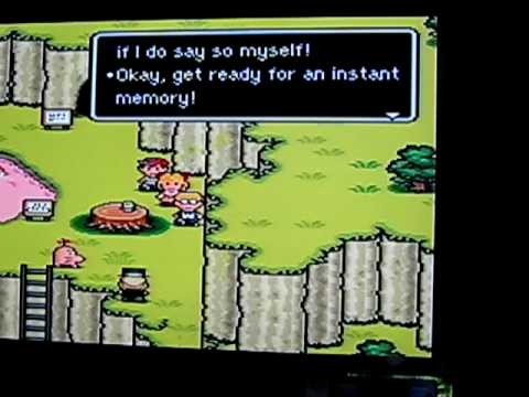 FUZZY PICKLES (The Entity)