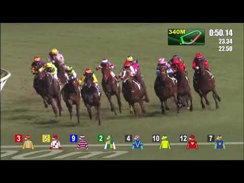 26/5/2021 (708) Sparkling Dragon - A Hamelin