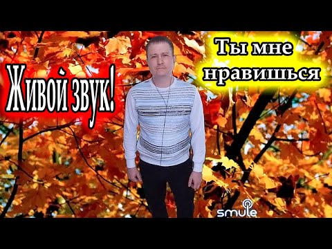 Вячеслав Малежик, исп. Владимир Need Soul Кузьмин  - Ты мне нравишься (cover version)