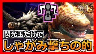 【MH4G】閃光玉だけでしゃがみ撃ちの的になるモンスター