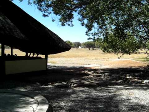 MVI 0188  Safari Lodge Tsumeb (Namibia, Africa)