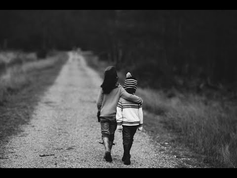 Zach Farache - Sunflower