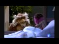 Sesame Street Things Are Always Changing
