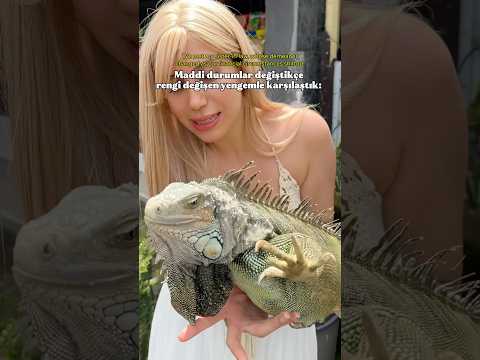 What is your favorite animal? 💕