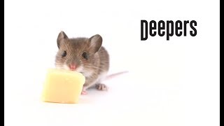 Video Deepers – Myš