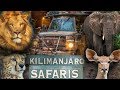 Kilimanjaro Safaris At Disney S Animal Kingdom