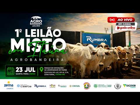 🔴 1º Leilão Misto Agro Bandeira em Itaúna-MG | Gado Online Leilões | 23 de Julho