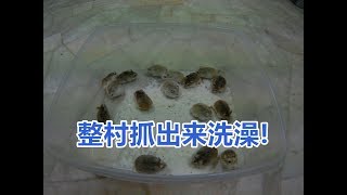 [問卦] 買2送2小倉鼠，該如何處理