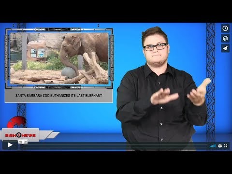 Santa Barbara Zoo euthanizes its last elephant (ASL - 9.29.19)