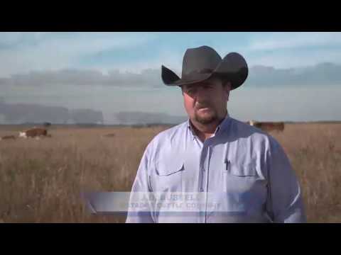 2019 BQA Cow Calf Award - Matador Cattle Co., Texas,...