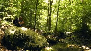 Native American Flute Music & Nature Sounds / Scenes