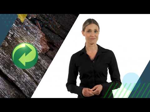 The Green Dot Symbol | Environmental Awareness | iHASCO